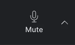 Mic Off.png