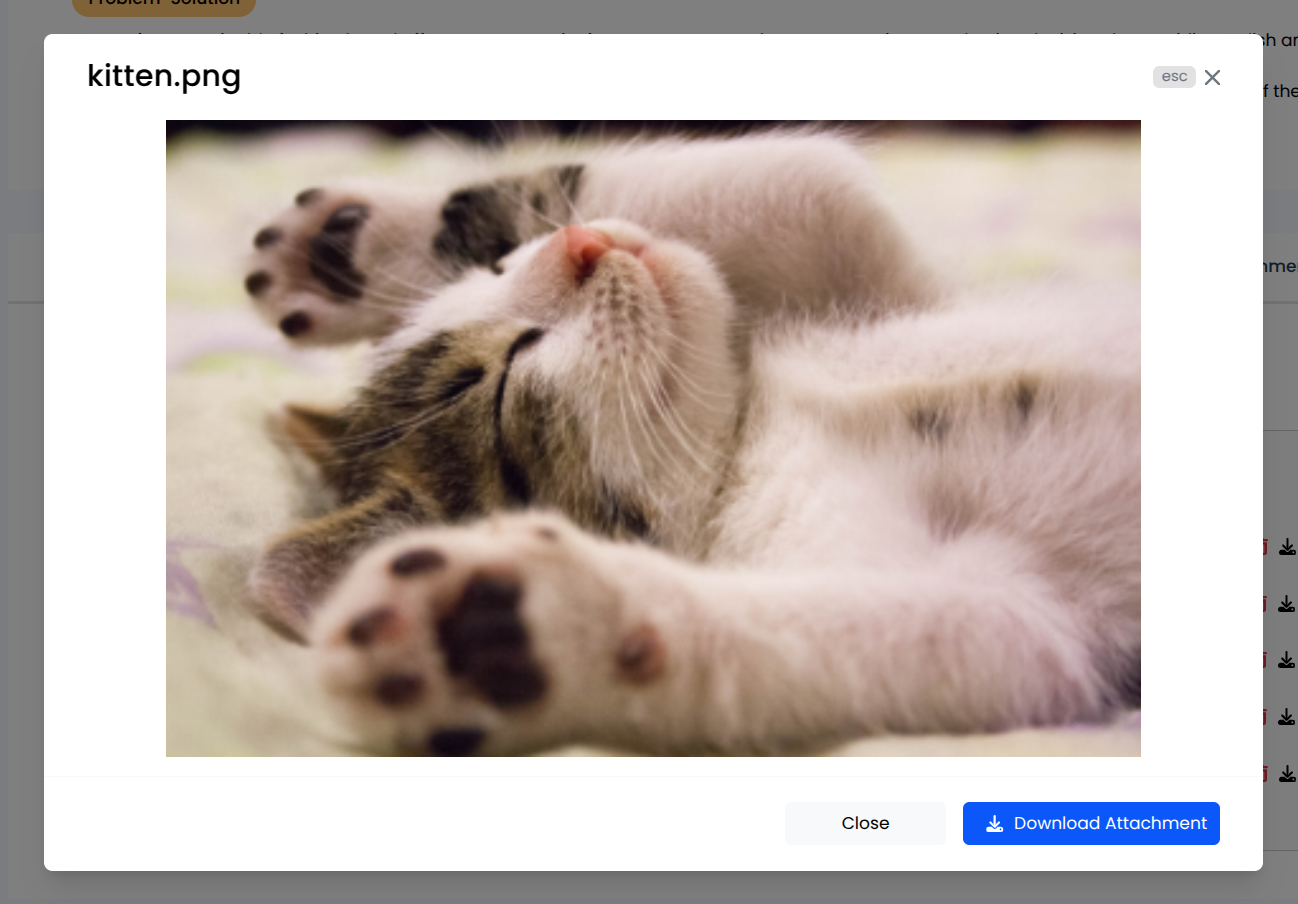 Viewing Uploaded Files