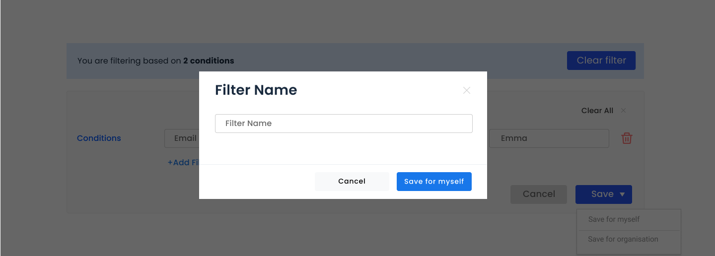 Filter Naming Modal