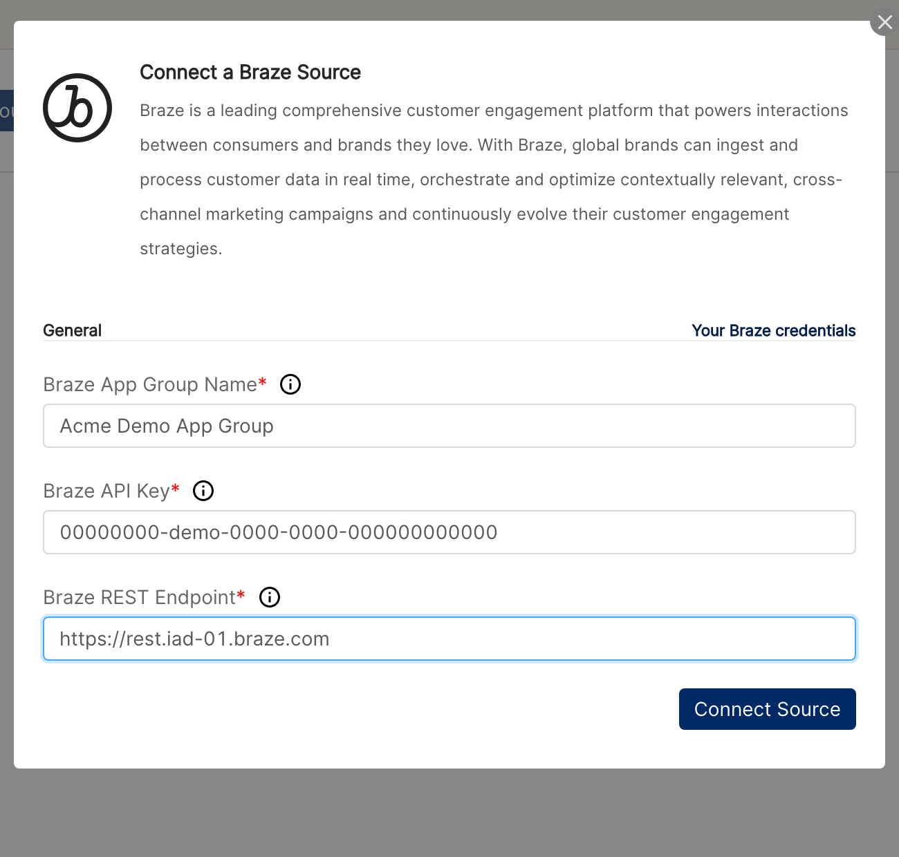 Connect a Braze Source dialog with App Group Name, API Key and REST Endpoint filled with demo values