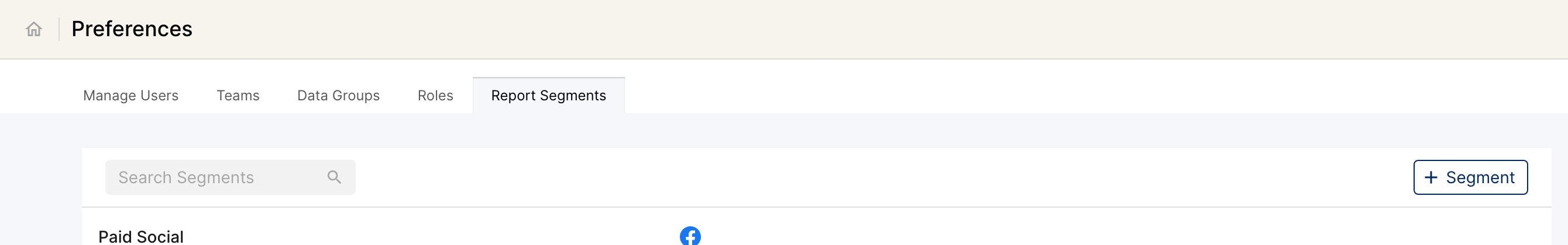 Report Segments tab in Preferences with the segment list and the + Segment button