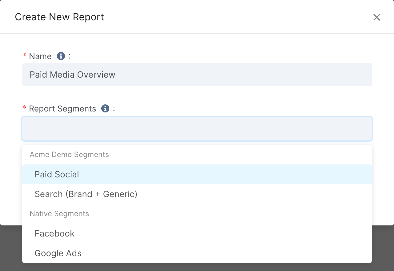 Report Segments dropdown in Create New Report listing company segments and Native Segments