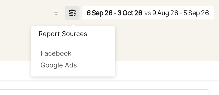 Report Sources popover under the database icon, listing Facebook and Google Ads