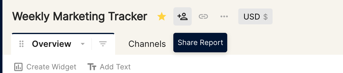 Report header with the Share Report icon and its tooltip
