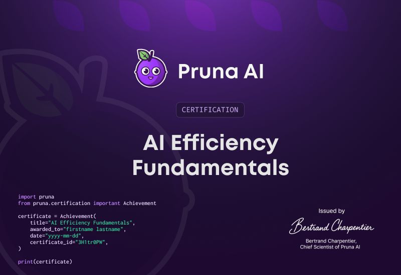 Pruna AI Company Page.jpeg