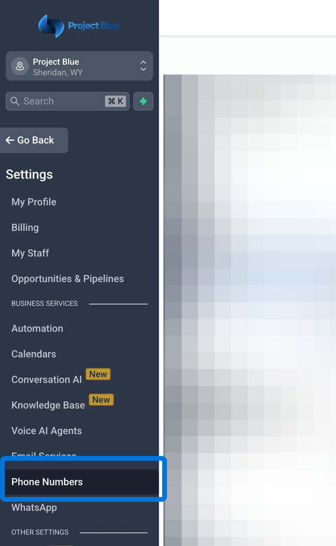 Configure Lead Connector Telephony Provider Settings - Step 2.png