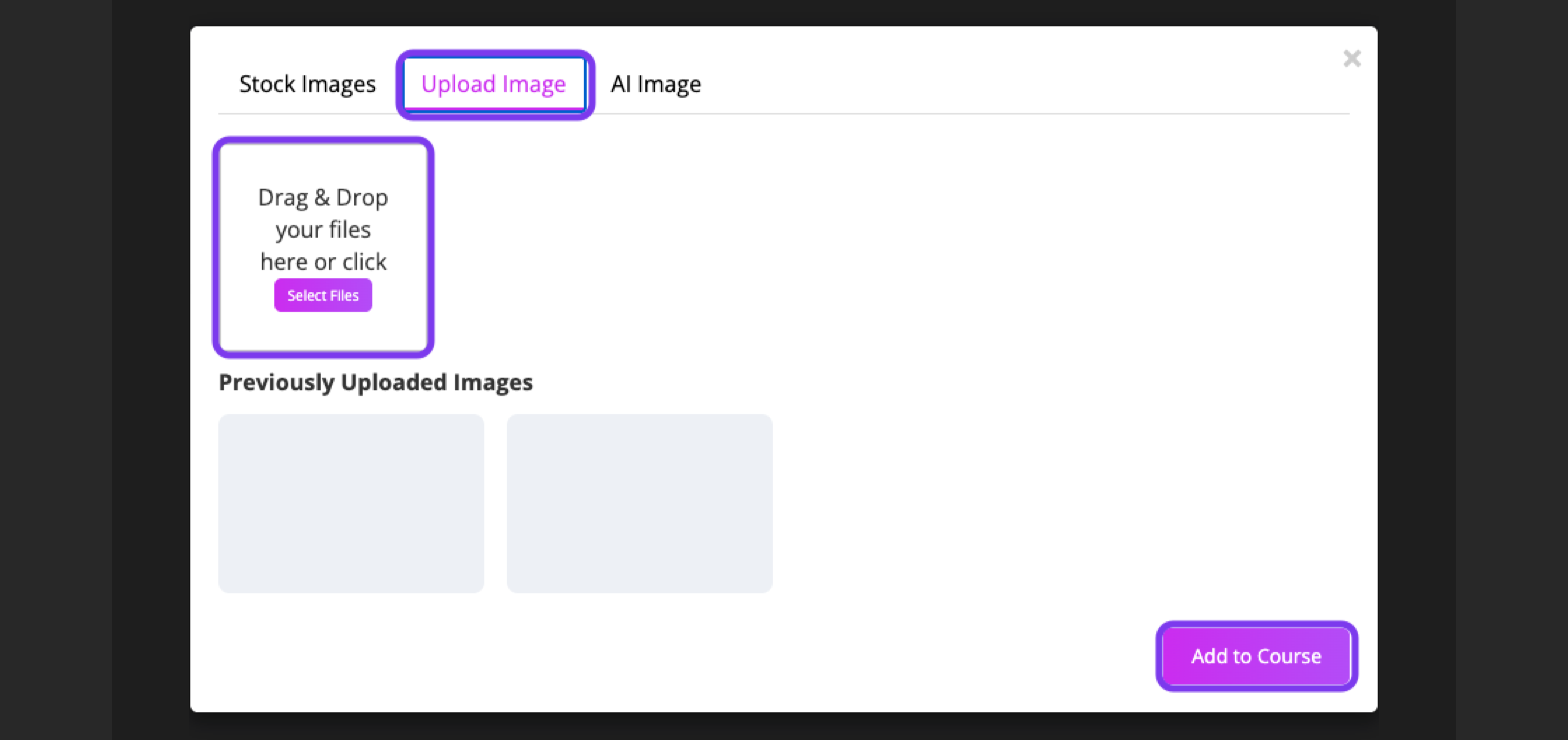 Images window on the Upload Image tab with the Drag and Drop area, Select Files and Add to Course outlined