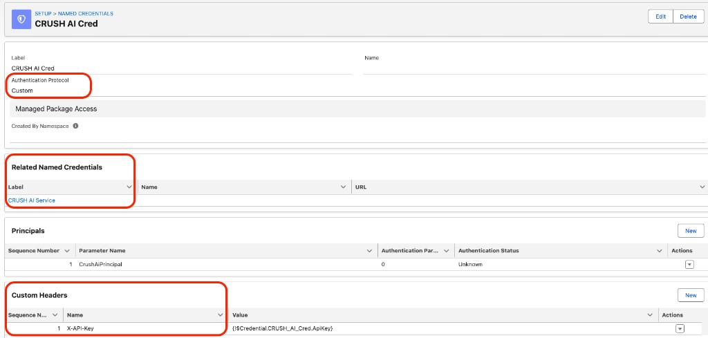 External Credential CRUSH AI Cred with Custom protocol, CrushAiPrincipal, and X-API-Key header