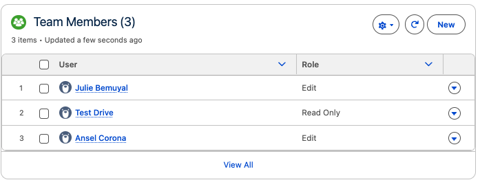 Team Members list with Role values