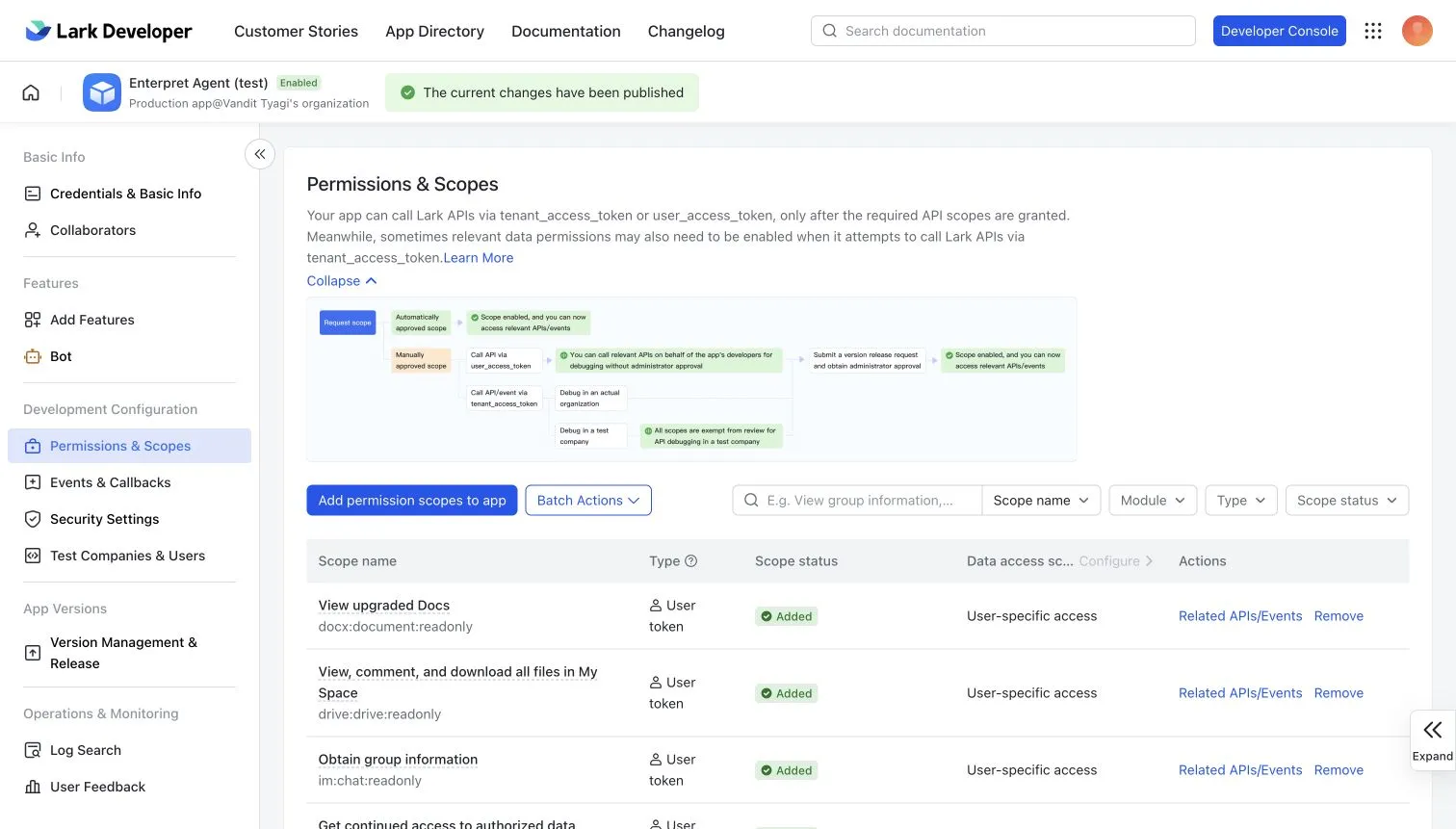 Permissions & Scopes showing User token access